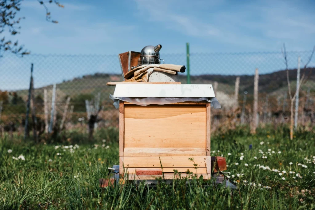 a photo of beekeeping equipment for beekeeping 101